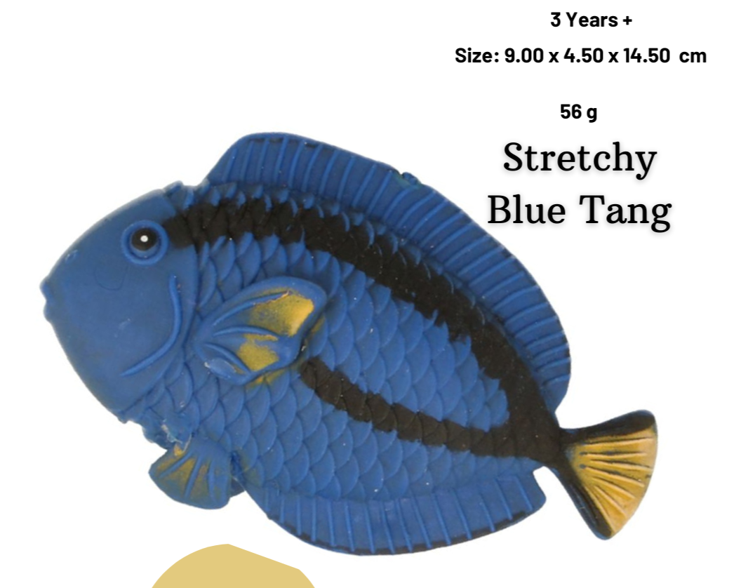 Keycraft Stretchy Beanie Realistic Replicas Sealife Sensory educational Fun Toys